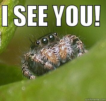 I SEE YOU!   Misunderstood Spider