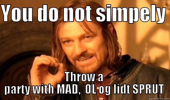 YOU DO NOT SIMPELY  THROW A PARTY WITH MAD,  ØL OG LIDT SPRUT Boromir