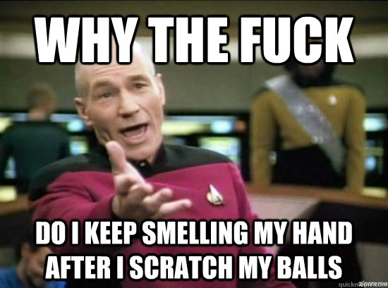 Why the fuck do i keep smelling my hand after i scratch my balls  Annoyed Picard HD