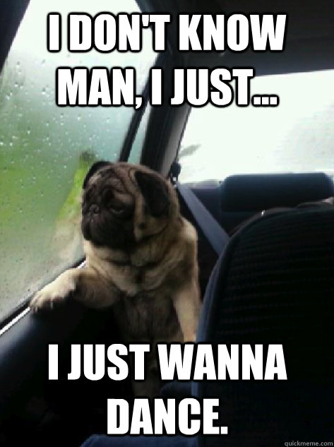 I don't know man, I just... I JUST WANNA DANCE.  Introspective Pug
