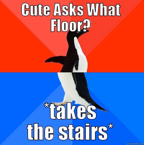 CUTE ASKS WHAT FLOOR? *TAKES THE STAIRS* Socially Awesome Awkward Penguin