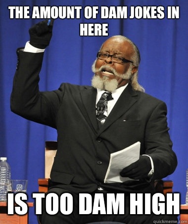 The amount of dam jokes in here  is too dam high  The Rent Is Too Damn High