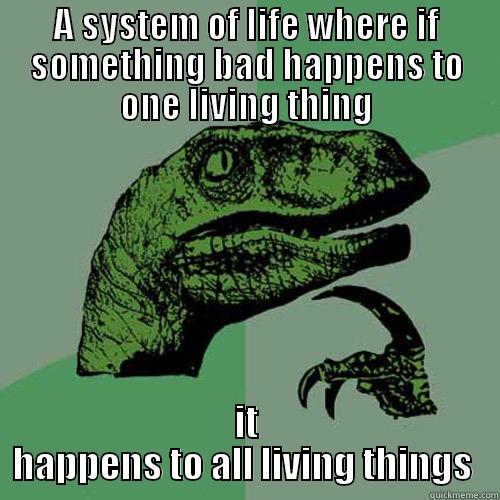 A SYSTEM OF LIFE WHERE IF SOMETHING BAD HAPPENS TO ONE LIVING THING IT HAPPENS TO ALL LIVING THINGS  Philosoraptor