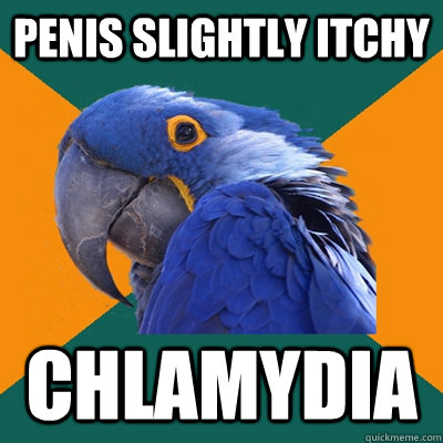 penis slightly itchy chlamydia  Paranoid Parrot