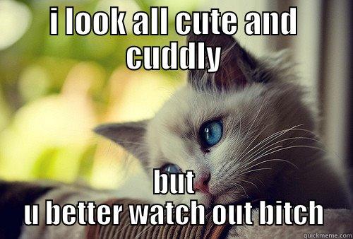 I LOOK ALL CUTE AND CUDDLY BUT U BETTER WATCH OUT BITCH First World Problems Cat