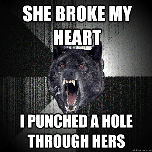 SHE BROKE MY HEART I PUNCHED A HOLE THROUGH HERS  Insanity Wolf