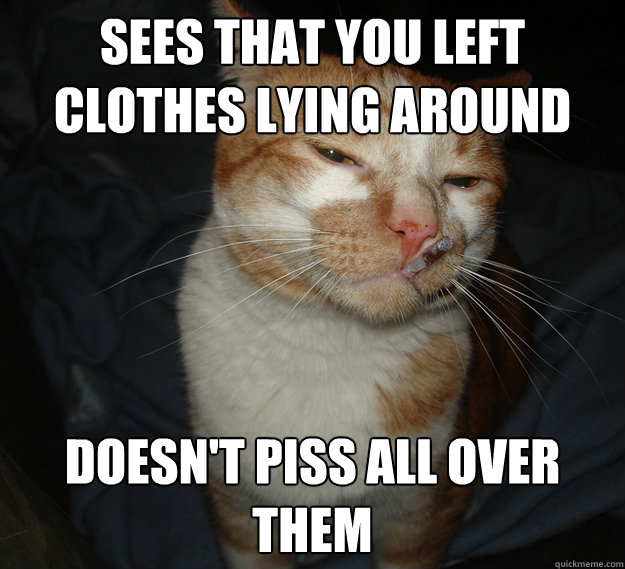 Sees that you left clothes lying around Doesn't piss all over them  Cool Cat Craig