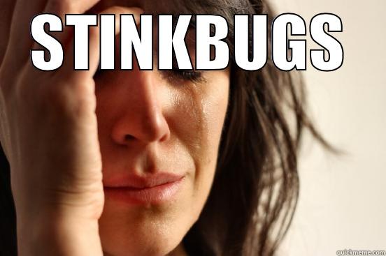 STINKBUGS  First World Problems