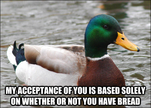  my acceptance of you is based solely on whether or not you have bread -  my acceptance of you is based solely on whether or not you have bread  Actual Advice Mallard