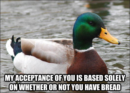  my acceptance of you is based solely on whether or not you have bread  Actual Advice Mallard