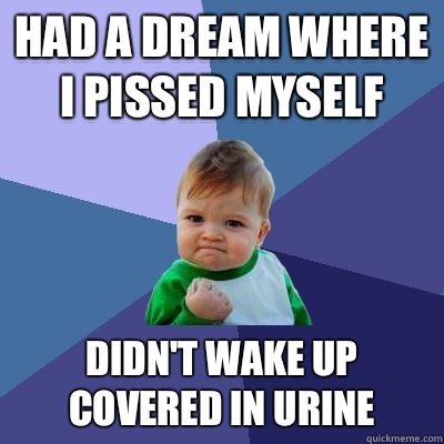 Had a dream where I pissed myself Didn't wake up covered in urine  Success Kid
