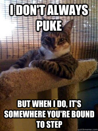 I don't always puke but when I do, it's somewhere you're bound to step  The Most Interesting Cat in the World