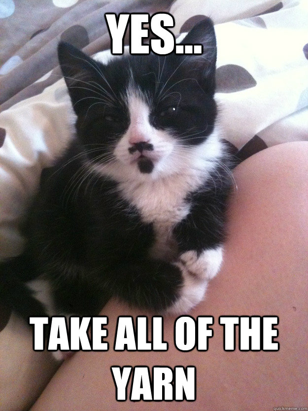 Yes... take all of the yarn - Yes... take all of the yarn  Diabolical Kitten
