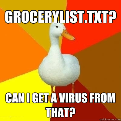 grocerylist.txt? can i get a virus from that?  Technologically Impaired Duck