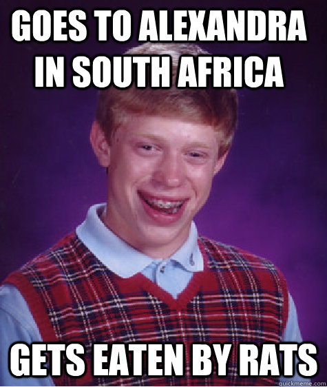 Goes to Alexandra in south africa gets eaten by rats  Bad Luck Brian