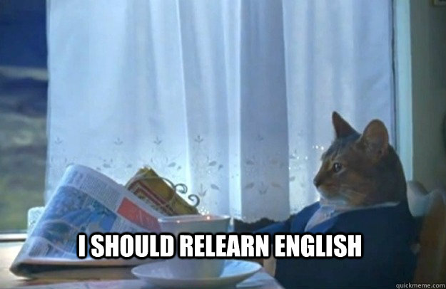 I should relearn english  Sophisticated Cat
