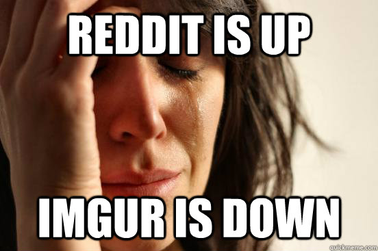 REDDIT IS UP IMGUR IS DOWN  First World Problems