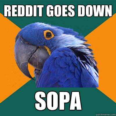 reddit goes down sopa  Paranoid Parrot