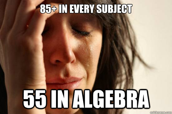 85+ in every subject 55 in algebra  First World Problems