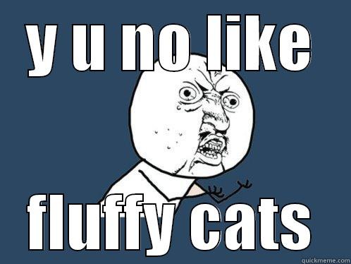 Y U NO LIKE FLUFFY CATS Y U No