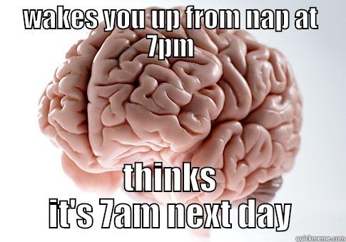 scumbag brain naps - WAKES YOU UP FROM NAP AT 7PM THINKS IT'S 7AM NEXT DAY Scumbag Brain