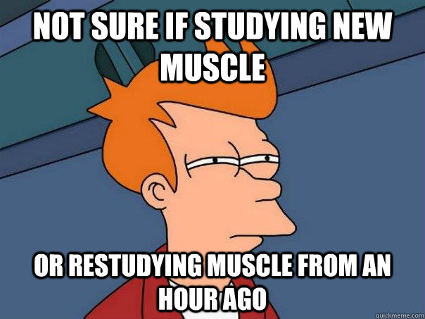 not sure if studying new muscle or restudying muscle from an hour ago  Futurama Fry