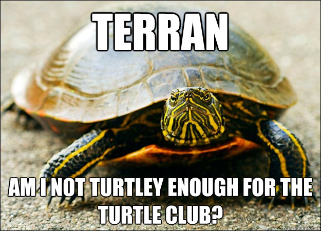 Terran Am I not turtley enough for the turtle club? - Terran Am I not turtley enough for the turtle club?  Pet Turtle