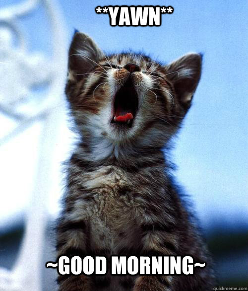 ~Good Morning~ **Yawn**  