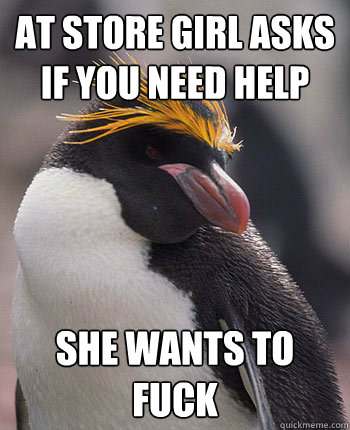 At store girl asks if you need help She wants to fuck  Socially Overconfident Penguin