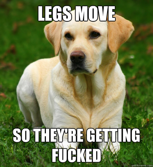 LEGS MOVE SO THEY'RE GETTING FUCKED  Dog Logic
