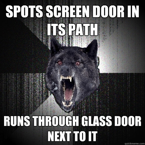 Spots screen door in its path Runs through glass door next to it  Insanity Wolf