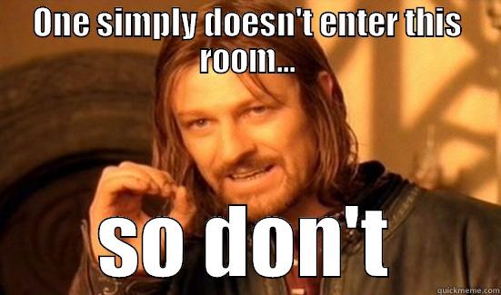 ONE SIMPLY DOESN'T ENTER THIS ROOM... SO DON'T Boromir