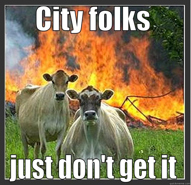 City folks - CITY FOLKS JUST DON'T GET IT Evil cows