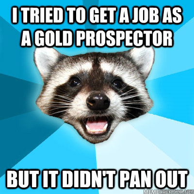 I tried to get a job as a gold prospector But it didn't pan out   Lame Pun Raccoon