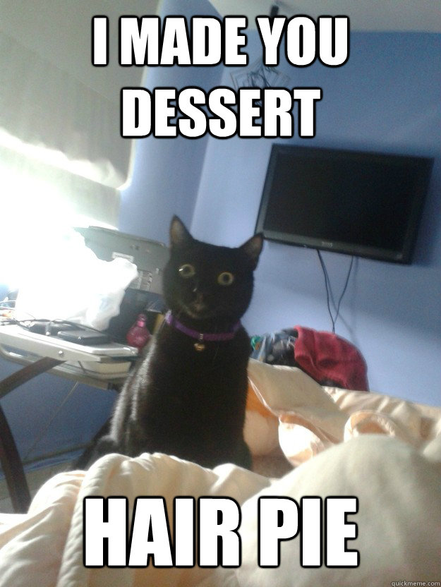 I made you dessert hair pie  overly attached cat
