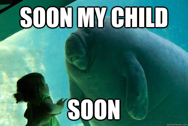 Soon my child Soon  Overlord Manatee