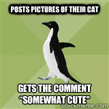 Posts pictures of their cat gets the comment “somewhat cute