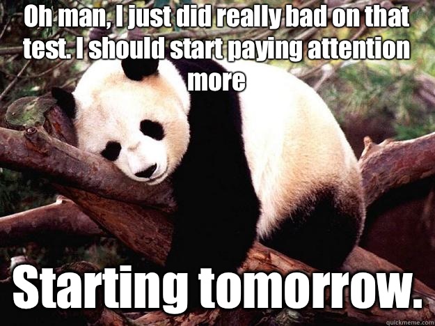 Oh man, I just did really bad on that test. I should start paying attention more Starting tomorrow.  Procrastination Panda