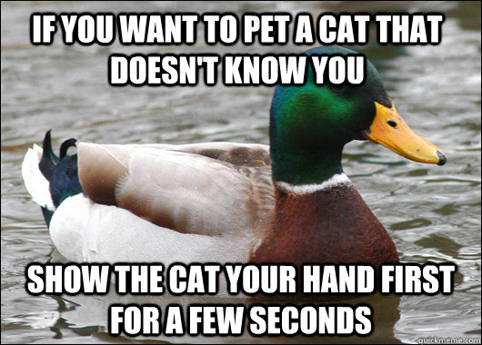 If you want to pet a cat that doesn't know you show the cat your hand first for a few seconds  Actual Advice Mallard