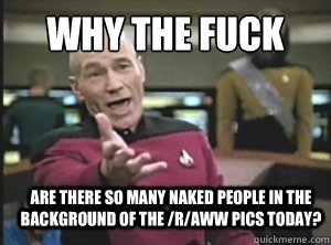 why the fuck are there so many naked people in the background of the /r/aww pics today?  Annoyed Picard