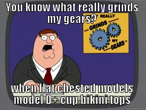 YOU KNOW WHAT REALLY GRINDS MY GEARS? WHEN FLAT CHESTED MODELS MODEL D+ CUP BIKINI TOPS Grinds my gears