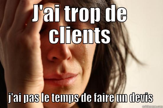 J'AI TROP DE CLIENTS J'AI PAS LE TEMPS DE FAIRE UN DEVIS First World Problems