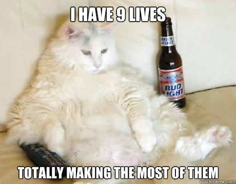 I have 9 lives totally making the most of them - I have 9 lives totally making the most of them  Lazy cat