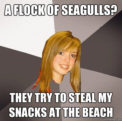 A Flock of Seagulls? They try to steal my Snacks at the Beach  Musically Oblivious 8th Grader
