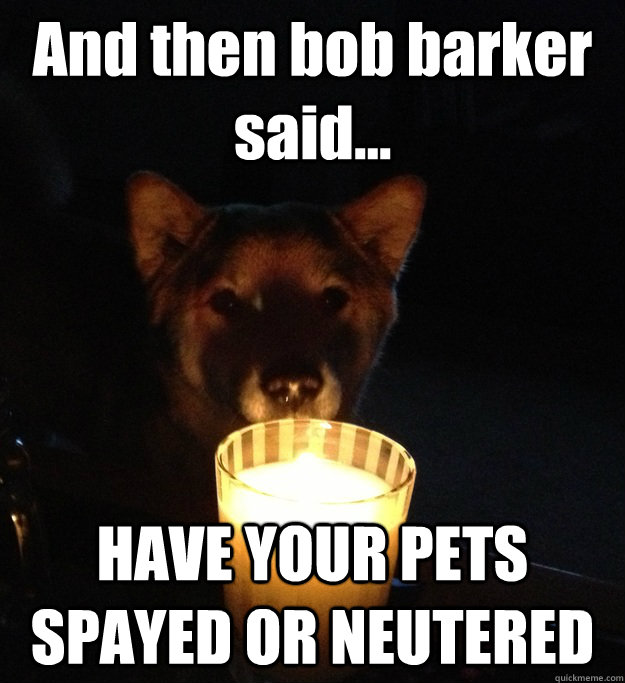 And then bob barker said... HAVE YOUR PETS SPAYED OR NEUTERED  - And then bob barker said... HAVE YOUR PETS SPAYED OR NEUTERED   Scary Story Dog