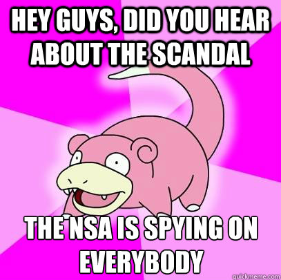 hey guys, did you hear about the scandal the nsa is spying on everybody - hey guys, did you hear about the scandal the nsa is spying on everybody  Slowpoke