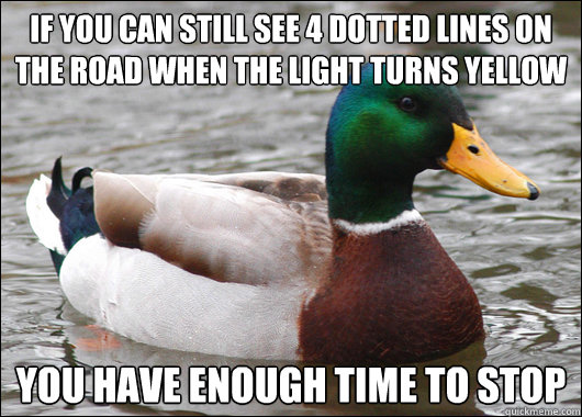 if you can still see 4 dotted lines on the road when the light turns yellow you have enough time to stop   Actual Advice Mallard