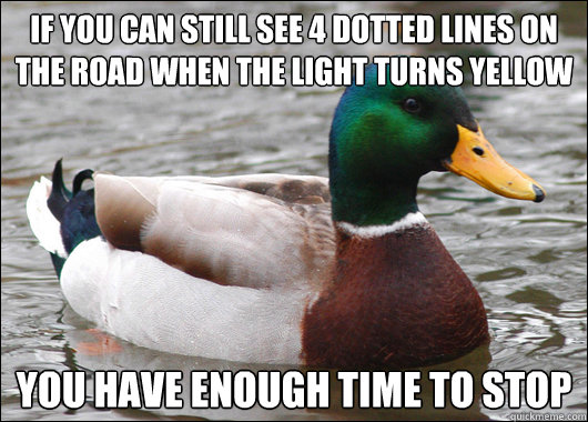 if you can still see 4 dotted lines on the road when the light turns yellow you have enough time to stop  - if you can still see 4 dotted lines on the road when the light turns yellow you have enough time to stop   Actual Advice Mallard