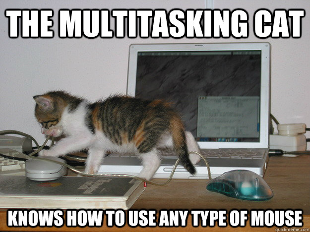 The multitasking cat knows how to use any type of mouse  Multitasking