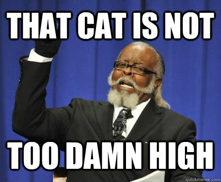 That cat is not too damn high  Too Damn High